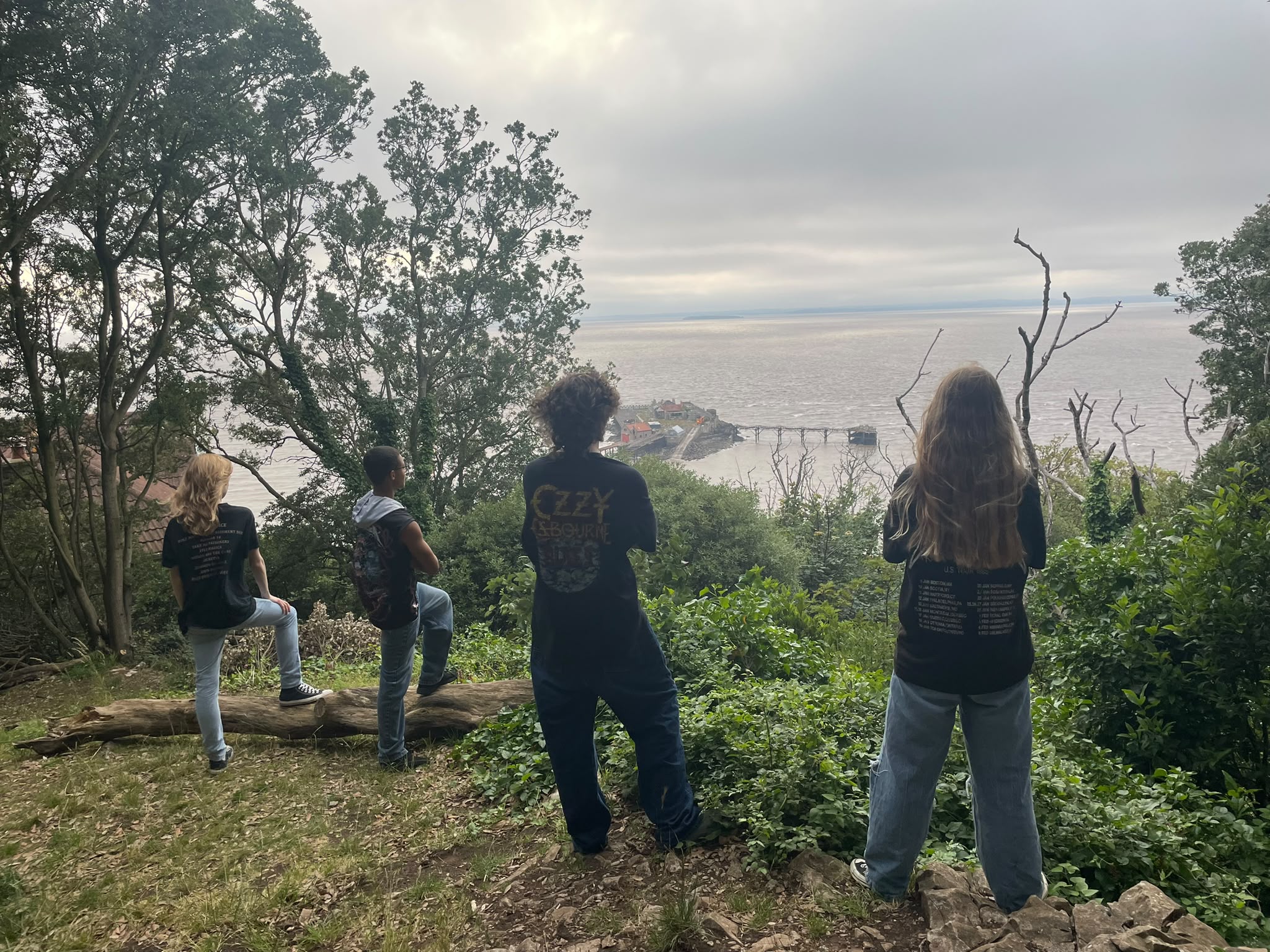 The band seen from behind on a wooded hillside, looking down over the derelict pier and the brown water of the Bristol Channel.